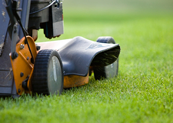 grass cutting service Buffalo